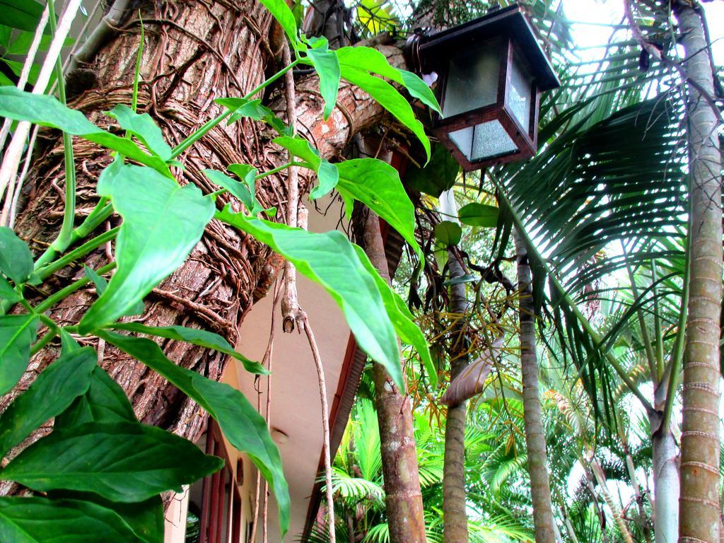 Happiness Resort Ban Khlong Haeng Екстериор снимка